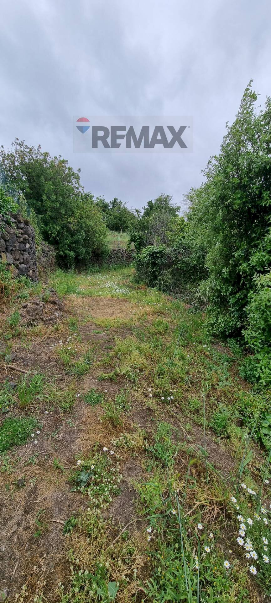 Giardino - Terreno agricolo Strada Santa Margherita
 
21, Misterbianco - foto 1
