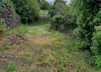 Giardino - Terreno agricolo Strada Santa Margherita
21, Misterbianco - foto 1