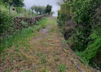 Giardino - Terreno agricolo Strada Santa Margherita
21, Misterbianco - foto 5