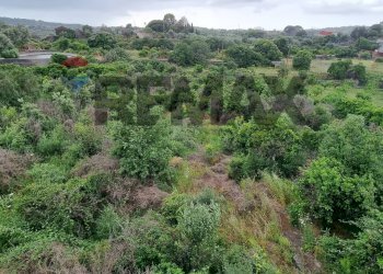 Vista delle montagne - Terreno agricolo Strada Santa Margherita
21, Misterbianco - foto 8