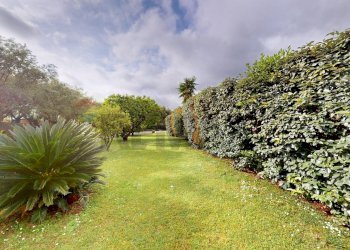 Giardino - Villa Seravezza - foto 53