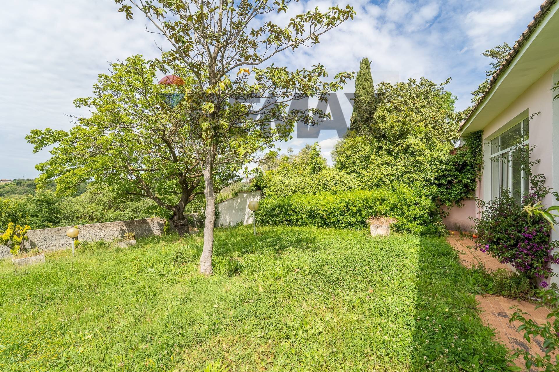 Giardino - Villa Via Giovanni Pacchioni
21, Roma - foto 3