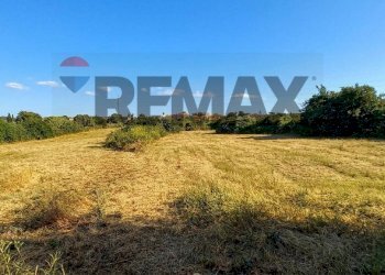 Giardino - Building land Via Rinascimento
29, Anzio - photo 1