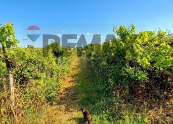Giardino - Building land Via Rinascimento
29, Anzio - photo 5