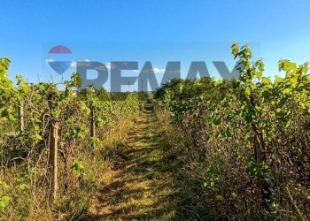 Vista delle montagne - Building land Via Rinascimento
29, Anzio - photo 6