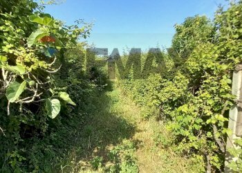 Giardino - Building land Via Rinascimento
29, Anzio - photo 7
