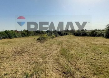 Giardino - Building land Via Rinascimento
29, Anzio - photo 9