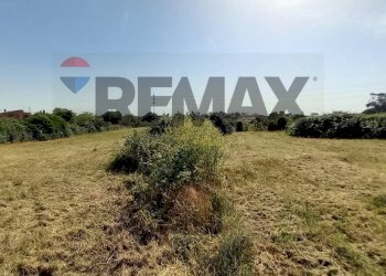 Non correlato - Building land Via Rinascimento
29, Anzio - photo 11