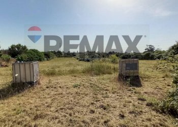 Giardino - Building land Via Rinascimento
29, Anzio - photo 19