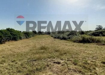 Non correlato - Building land Via Rinascimento
29, Anzio - photo 20