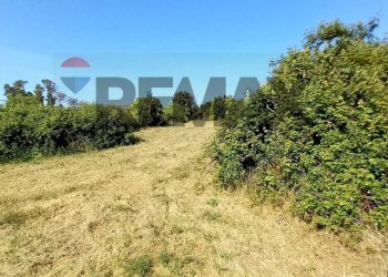 Giardino - Building land Via Rinascimento
29, Anzio - photo 17