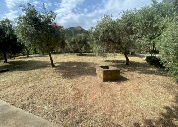 Giardino - Villa Via Alaska
 
4, Carini - foto 33