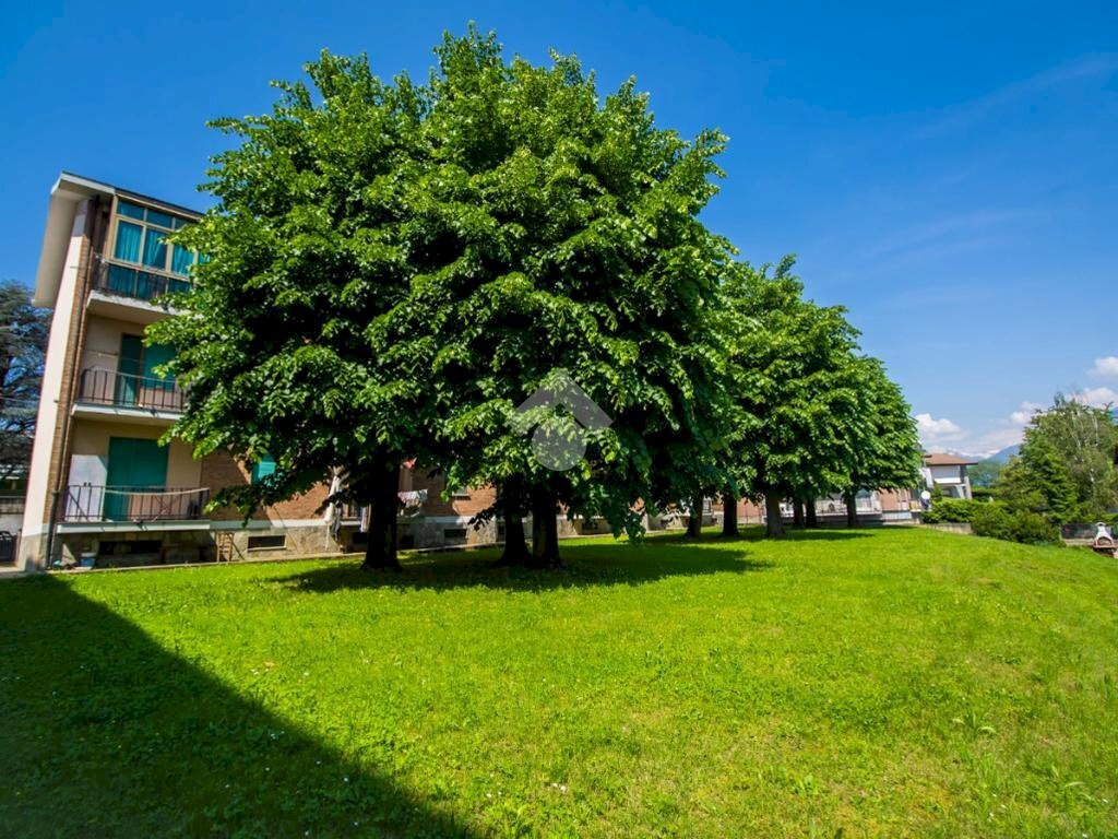 Trilocale Via tiro a segno, Rivarolo Canavese - foto 3