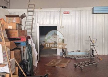 Interno non residenziale - Capannone corso Italia, Novi Ligure - foto 7