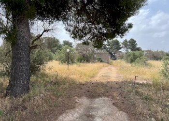Terreno - Terreno agricolo strada Vicinale Pigno, Matino - foto 1