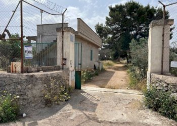Ingresso - Terreno agricolo strada Vicinale Pigno, Matino - foto 5