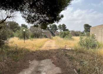 Terreno - Terreno agricolo strada Vicinale Pigno, Matino - foto 17