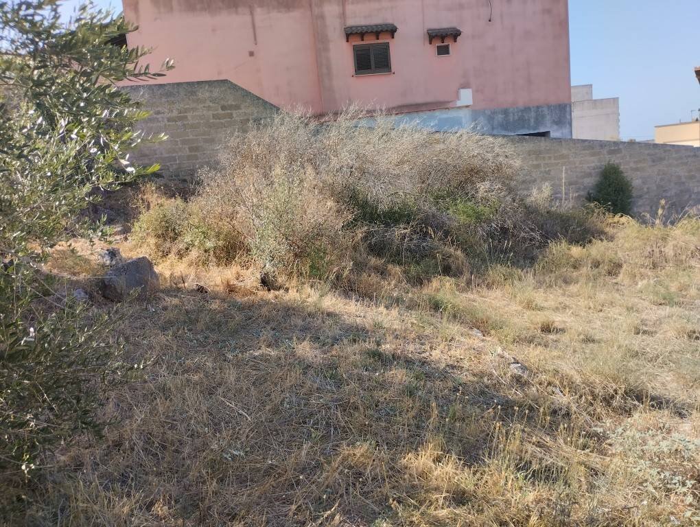 Viste - Building land via Taranto, Matino - photo 3