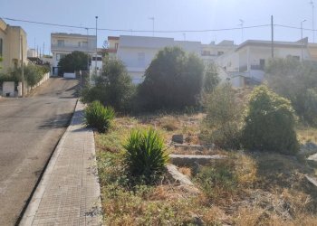 Viste - Building land via Taranto, Matino - photo 1