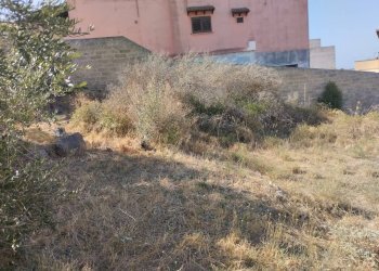 Viste - Building land via Taranto, Matino - photo 3