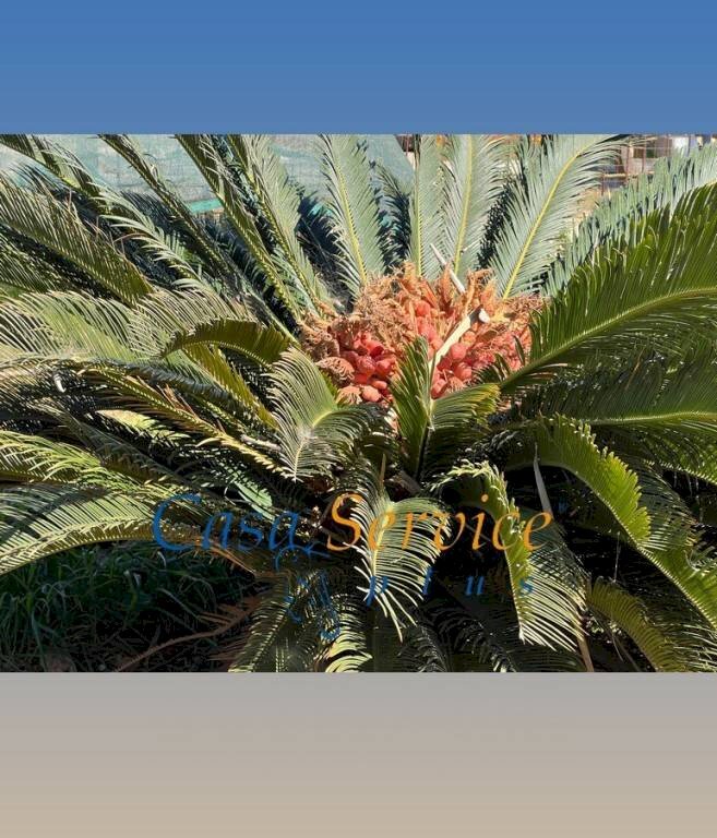 dettagli - Terreno agricolo SP52, Gallipoli - foto 2