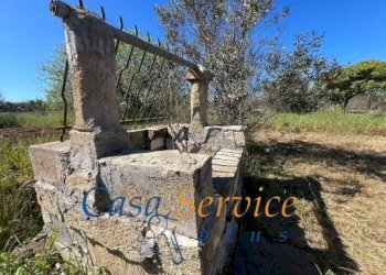 pozzo sorgivo - Terreno agricolo SP52, Gallipoli - foto 5