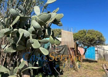 viste - Terreno agricolo SP52, Gallipoli - foto 7