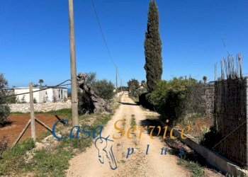 strada di accesso - Terreno agricolo SP52, Gallipoli - foto 14