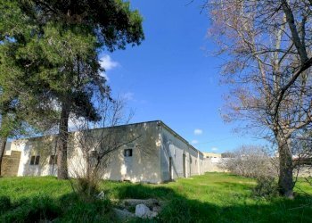 Terreno - Independent house via Colonnello De Giovanni, Specchia - photo 7