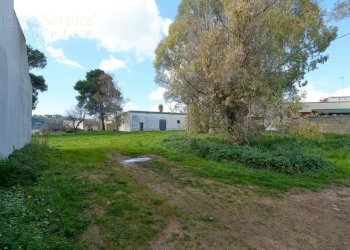 Terreno - Casa indipendente via Colonnello De Giovanni, Specchia - foto 10