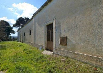 Terreno - Casa indipendente via Colonnello De Giovanni, Specchia - foto 11