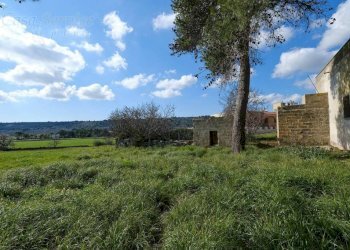 Terreno - Independent house via Colonnello De Giovanni, Specchia - photo 18