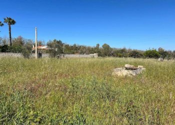 Terreno - Terreno agricolo via Scalelle, Gallipoli - foto 7