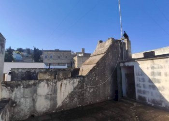 Balcone - Independent house via Regina Elena, Ruffano - photo 15