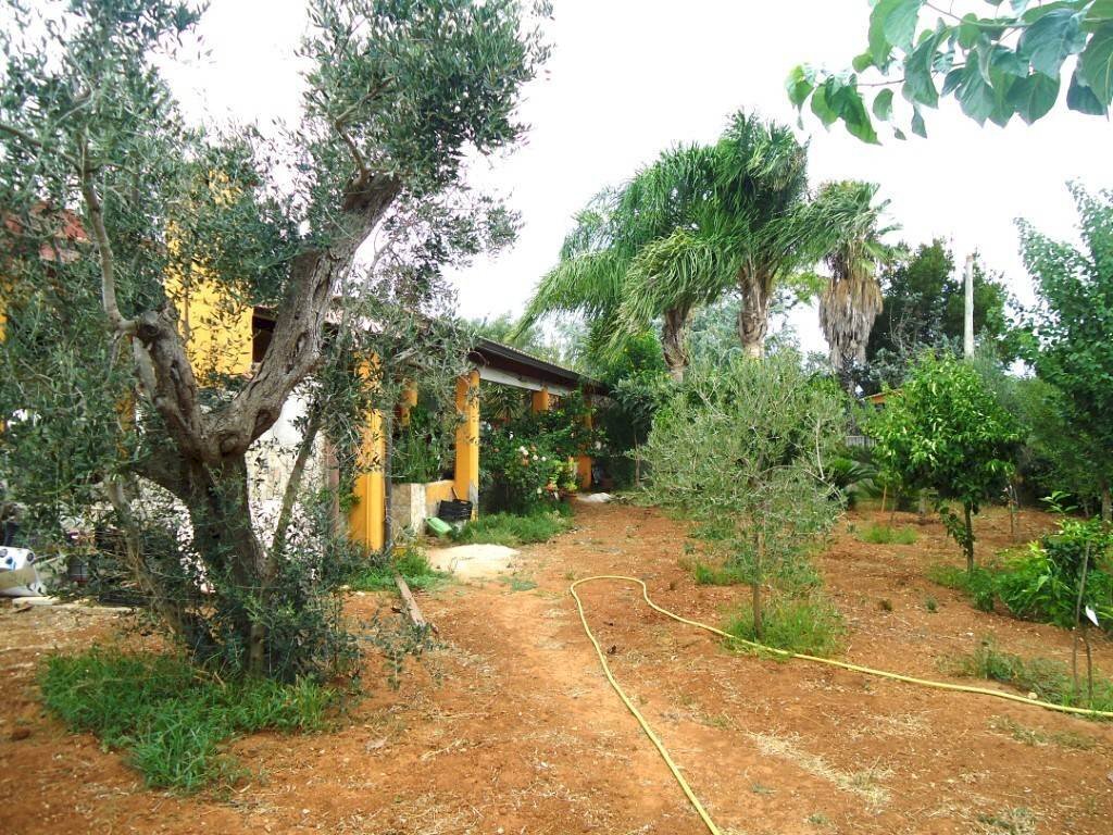 Terreno - Villa SP223, Gallipoli - photo 1