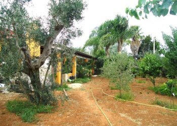 Terreno - Villa SP223, Gallipoli - photo 1