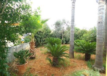 Giardino - Villa SP223, Gallipoli - photo 8