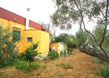 Terreno - Villa SP223, Gallipoli - photo 14