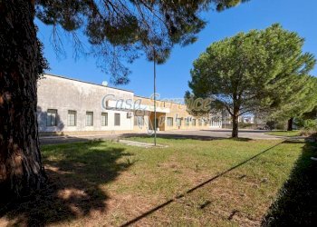 Giardino - Capannone via San Cesario, Cavallino - foto 18