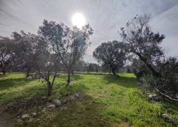terreno - Villa SP292, Salve - photo 7