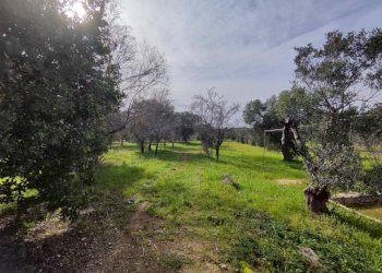 terreno - Villa SP292, Salve - photo 12