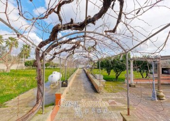 Giardino - Villa via Re d'Italia, Cutrofiano - photo 41