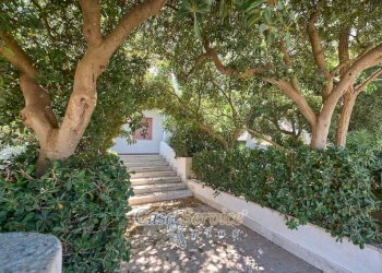 giardino - Stabile - Palazzo via Amalfi, Taviano - foto 5