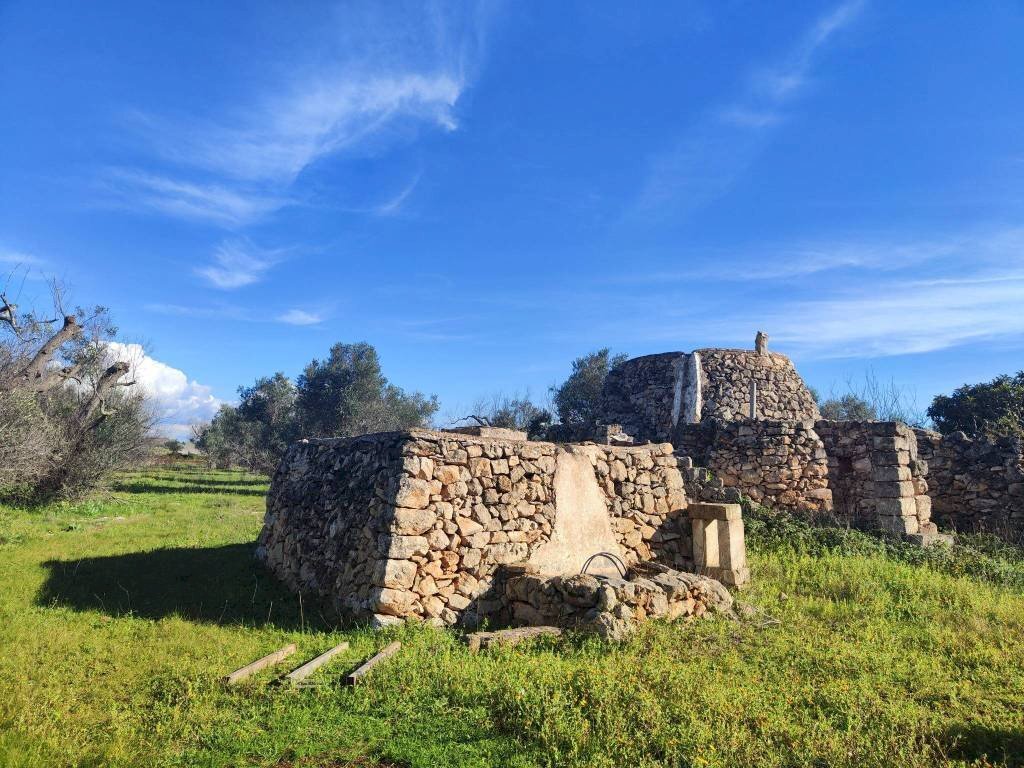 Terreno - Rustic contrada Bascetta, Galatone - photo 3