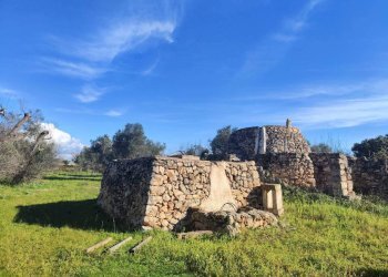 Terreno - Rustic contrada Bascetta, Galatone - photo 3