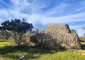 Terreno - Rustic contrada Bascetta, Galatone - photo 4