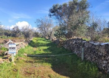 Terreno - Rustic contrada Bascetta, Galatone - photo 7