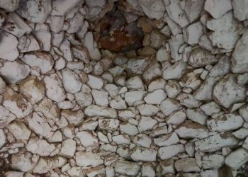Dettagli - Rustic contrada Bascetta, Galatone - photo 9