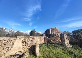 Terreno - Rustic contrada Bascetta, Galatone - photo 11