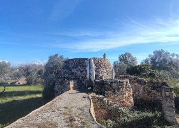 Terreno - Rustic contrada Bascetta, Galatone - photo 12